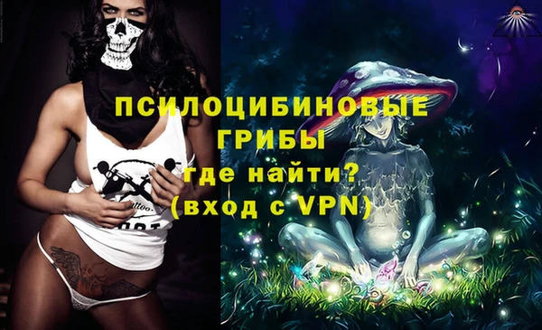 дмт Арсеньев