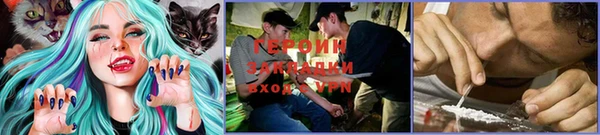 дмт Арсеньев