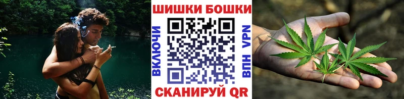 Марихуана сатива  ссылка на мегу маркетплейс  Орёл  купить закладку 